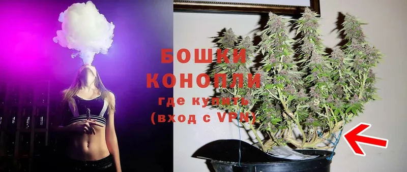 Каннабис SATIVA & INDICA  Верхотурье 